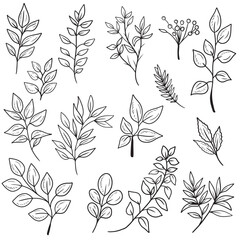Set of different abstract branch with leaves of different shapes in black isolated on white background. Hand drawn vector sketch illustration in doodle engraved vintage style. Natural, botanical.