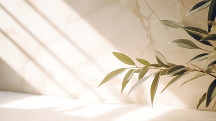 Minimalistic light background with blurred foliage shadow on a light wall. Beautiful background for presentation with with marble floor. : Generative AI