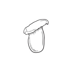Realistic leurotus eryngii in black isolated on white background. Hand drawn vector sketch illustration in doodle vintage engraved style. Concept of japanese tasty delicious gourmet for cooking.