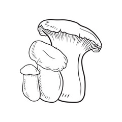 Realistic leurotus eryngii in black isolated on white background. Hand drawn vector sketch illustration in doodle vintage engraved style. Concept of japanese tasty delicious gourmet for cooking.