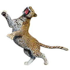 3D Rendering Big Cat Leopard on White