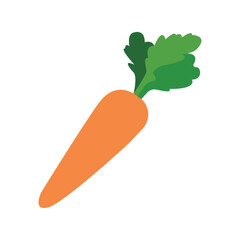 Carrot vegetable drawing illustration flat design