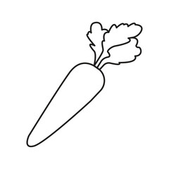 Carrot line icon vector symbol sign 