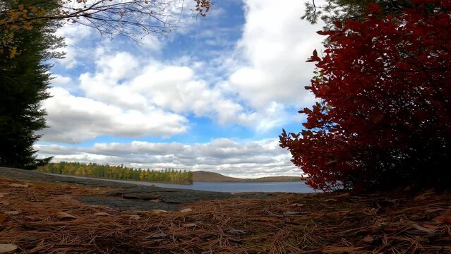 Lake Lila 208 Wilderness Canoe New York