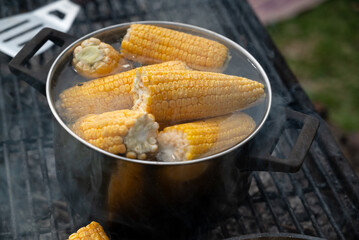 Shiny yellow sweet corn cobs boiled in a pot