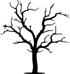 Fototapeta premium Tree branch slihouette