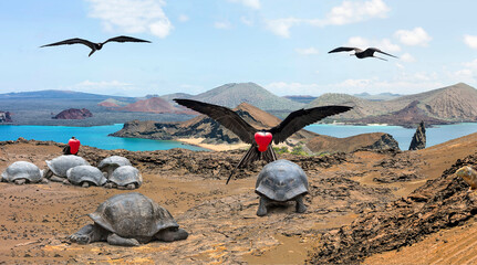Panorama der Galapagos Insel Bartolome mit Felsnadel Pinnacle Rock und Prachtfregattvogel und...