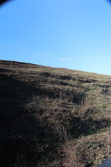 A grassy area with a blue sky