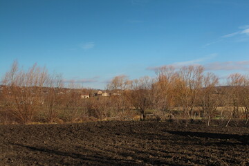 A field with trees and houses