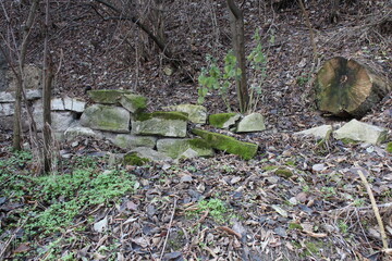 A small stream in the woods