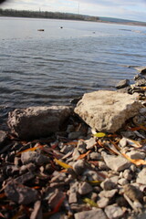 A rocky beach with a body of water in the background