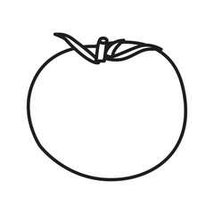 tomato line icon vector symbol sign