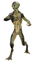 3D Rendering Green Alien on White