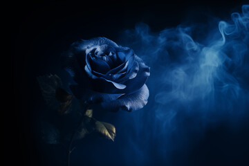 Fantasy blue rose - blue smoke - blue mist - blue fog - black background