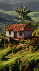 Old small wooden cottage house in the Brazilian countryside in the 1970s