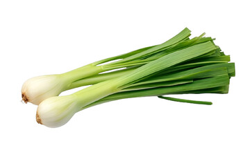 Fototapeta premium Fresh Green Leeks Isolated on Transparent White Background, Emphasizing Healthy Eating and Organic Produce in Nutritional Wellness Concept