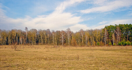 Obraz premium A landscape photo captures a field with dry grass, trees lining the horizon under a blue sky with clouds.