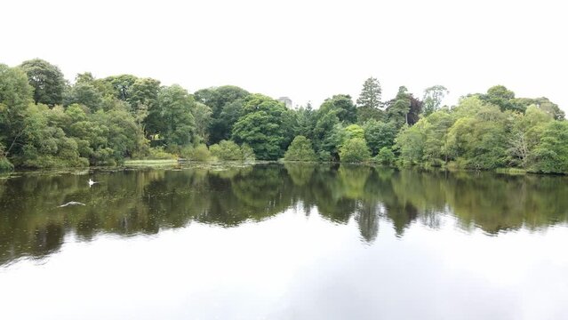 Mugdock Castle Ruins Amidst Verdant Woods, Aerial Video
