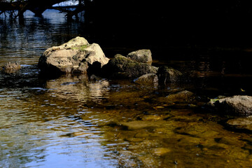 Beautiful landscape in an evening mood by the water in the sunshine.