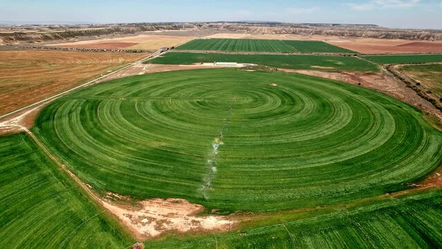 The geometric beauty of precision farming in Spain.