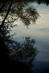 Beautiful landscape in an evening mood by the water in the sunshine.