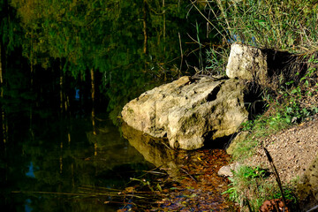 Beautiful landscape in an evening mood by the water in the sunshine.