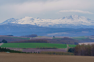 十勝岳連峰と新緑と畑　北海道美瑛町