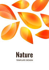 Many transparent isolated petals on a white background. Vector