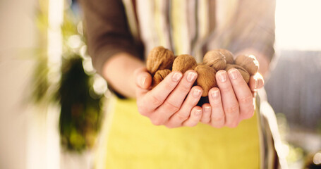 Close-up shot of a woman holding a handful of walnuts. - obrazy, fototapety, plakaty
