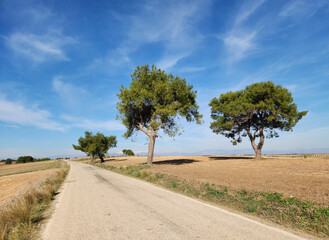 A rural asphalt road to a village in the eastern Mediterranean region.