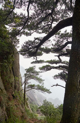 The picturesque granite peaks of Huangshan in Anhui Province, China