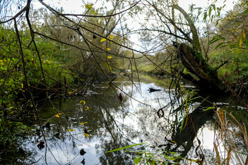 Whether sea, lake or river, water is one of the most beautiful elements of nature. Glistening in the sun, it makes every holiday even more beautiful.