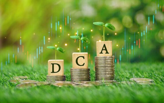 Rows of money coins stacks with DCA word on wooden cube and growing tree on top and candlestick charts in the garden sunshine day background for cost averaging investment strategy, economic concept.
