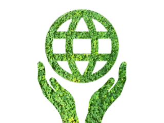 globe icon, go green icon made from green grass isolated on transparent background, PNG