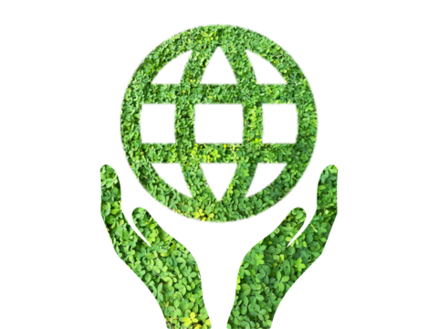 globe icon, go green icon made from green grass isolated on transparent background, PNG