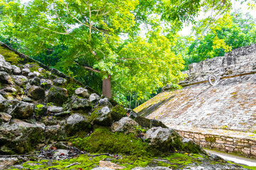 Coba Maya Ruins ancient buildings pyramids in tropical jungle Mexico.