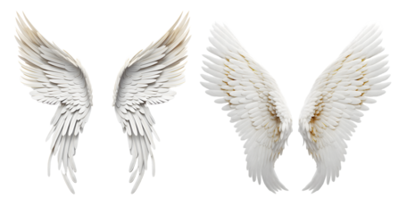 Angel wings white transparent background on white background, Generative Ai