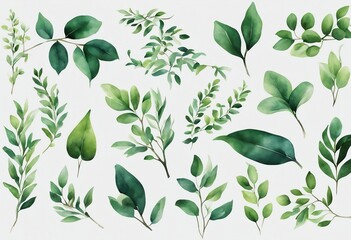 Set of branches with green leaves for wallpapers