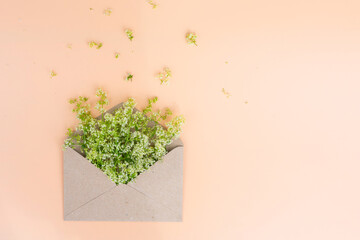 Paper envelope full of flowers in it on beige pastel color background with copy space.Concept of spring coming, holidays, good news and love emotion