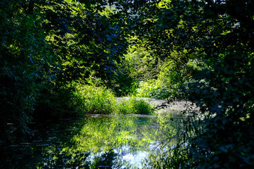 Beautiful landscape in an evening mood by the water in the sunshine.