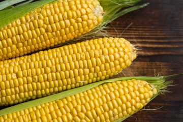 Ripe corn cobs on wooden background