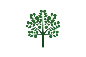 Moringa icon on white background