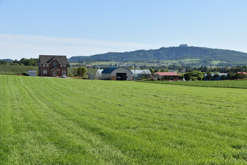 The view of countryside in Hokkaido, Japan