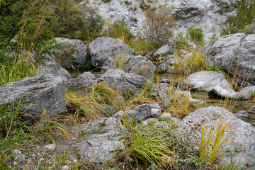 Beautiful landscape in an evening mood by the water in the sunshine.