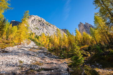 Wide-angle image of a rocky mountainous terrain with golden larch trees on a sunny October day in the Ampezzo Dolomites, Italy