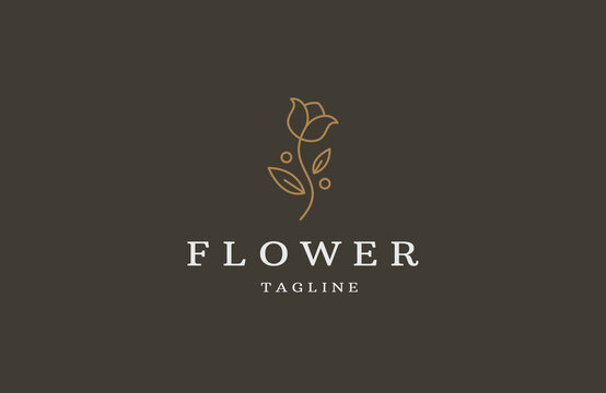 Roses line art style. flower luxury beauty salon, fashion, skincare, cosmetic, nature and spa
