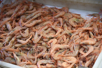 frischer Fisch auf Fischmarkt in Izmir