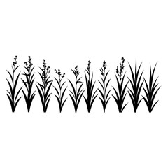 Vector Illustration of Grass