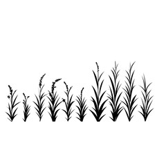 Vector Illustration of Grass