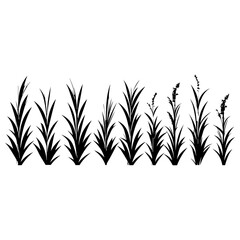 Vector Illustration of Grass